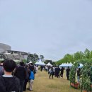 농악콘서트 | "함안군민축제" 관람 후기