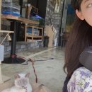 백패커스인여수 호스텔 이미지