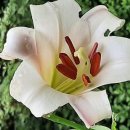 의영농장 이미지