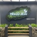 11월 일상(2) 제주로 힐링하고 공부에 파묻힌 직장인