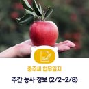 중부농업인상담소 | 충주씨가 전해드리는 주간 농사 정보 (2020. 02. 02~2020. 02.08)