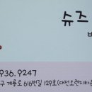 슈즈니케