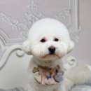 사림동253 이미지