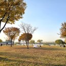 호텔38.5℃ | 겨울매트 고민 끝! 거실온수매트로 딱인 나비엔 숙면매트 온수 EMW720 사용 후기