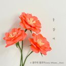 페이퍼로즈창작