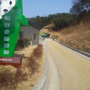 애견운동공원 이미지