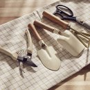 식탁위의텃밭 이미지