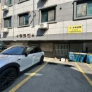 구름9-6 펫 살롱 | 용봉동미용실 물미역 클리닉 잘하는 하하살롱