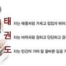 새로운우리세상태권도 이미지