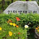 안터생태공원 티스토리