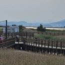 초록카센타 이미지