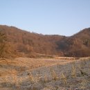 서대산주유소 | 장령지맥(1구간) : 금성산-방화봉 구간