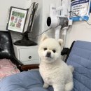 그린종묘농약사 네이버블로그