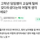 초 고학년 담임쌤이 교실에 탈취제 갖다두셨다는데 어떻게 생각 하세요? 이미지