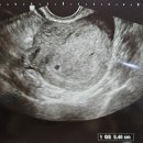 제이미즈 산부인과의원 이미지