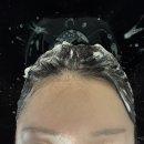 행정용 26 | 기장추가 없는 대구미용실 ‘26도헤어수성점’ 매직 솔직후기(f.나연디렉터)