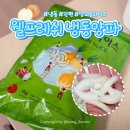 웰마트 | 웰프레쉬 냉동양파 솔직후기, 요리 간편해지는 진짜 이유