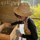 사정1리 | 캠핑장 추천 양주르 글램핑 캠핑장 예약 가격 찐 후기 리뷰