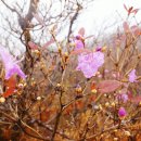 신불산휴게소 이미지