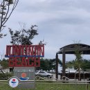 주문진밤도깨비 이미지