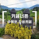 제천 카페 추천｜수목원 같은 힐링 카페 너른 후기 (애견동반 가능)