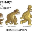 사피엔스스쿨 이미지