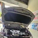 골드카정비
