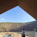 라움펜션 | 단양 독채펜션 슈빌라움 라움5 단체 숙소 야외바베큐 후기