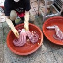 교동면옥안동옥동 네이버블로그