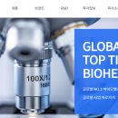 에이치케이글로벌 이미지