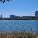 주춧돌