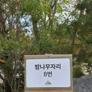 (주)해피나무 | &lt;일상&gt; 도마치 캠핑장 밤나무 8번 사이트, 가을 감성 가득한 곳에서의 캠핑 이야기 (해피할로윈)