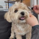 멍더랜드 이미지