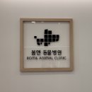 봄앤동물병원 이미지