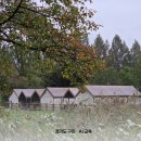 토평도서관 | 구리 토평 가족캠핑장 A구역 A3,우중 추석 가성비 캠핑