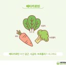 헬씨라이프 이미지