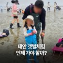 태안 갯벌체험 언제 가야 할까? 물때표 확인하고 다녀온 태안 비비오네 펜션 후기