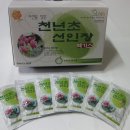 G천년초