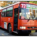 고양화전9 이미지