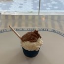 생활앤솔티 | [분당 정자역 젤라또] 쿨리스트(Coolest) : 쫀득함은 역대급, 맛은 호불호? 솔직 방문 후기