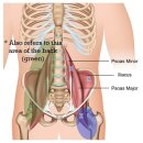 김양식한의원 이미지
