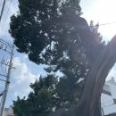 장위행복누림도서관 | [도서관탐방]장위행복누림복합센터/장위행복누림도서관