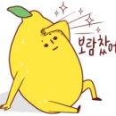 온탑네일 네이버블로그