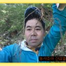 영초산삼 이미지