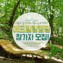 국립용화산자연휴양림 이미지