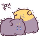 스테이이플 이미지