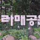 보라매공원 이미지