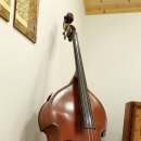 콘트라베이스 이미지