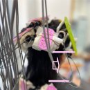 이혜선 미용실 | 얇은 머리 여자 굵은 젤리 펌 대구 달서구 송현동 미용실