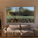 연화하가 | 제주 서쪽 애월 자쿠지 감성숙소 4인 '연화하가' 안채 2박 추천 후기 ♥